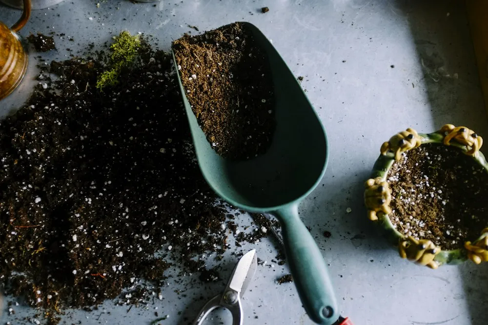 Planting and gardening work